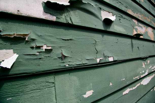 Best Recycling Services for Junk  in , MS